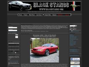 Black Stangs.com