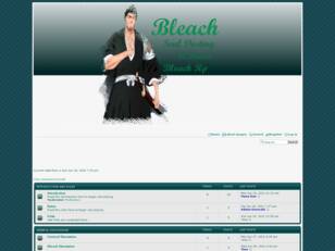 Bleach: Soul Destiny
