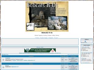 Bobcats R Us