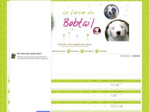 Bobtail ; Old english sheepdog