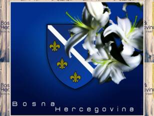 - Bosnian Forum -