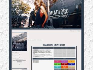 Bradford University