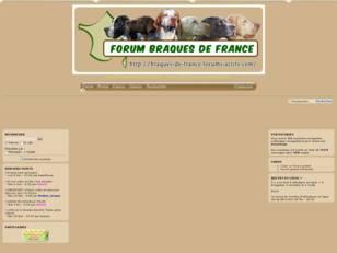 Braques de France