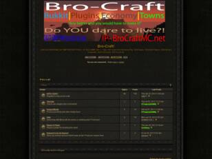 Bro-Craft!