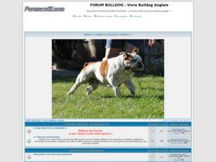 FORUM BULLDAMOUR : Vivre Bulldog Anglais