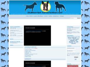 bull terrier Chat forum & info