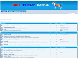 Bull Terrier Serbia