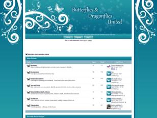 Butterflies and Dragonflies United