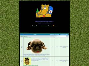 Forum gratis : CAGNONI IPOCRITI f.c. sempre e solo