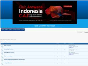 CLUB AROWANA INDONESIA