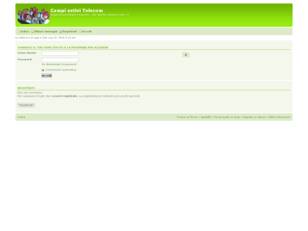 Forum gratis : Campi estivi Telecom