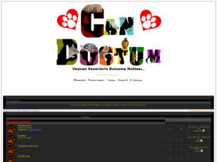 Hayvan Severlerin Bulusma Noktası..