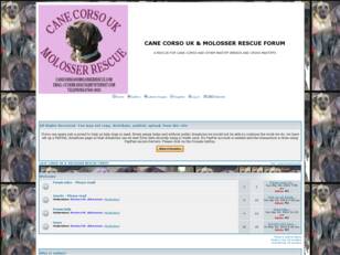 CANE CORSO UK & MOLOSSER RESCUE FORUM