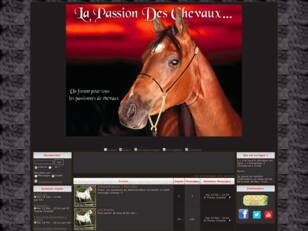 La passion des chevaux