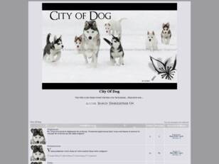 City Of Dog