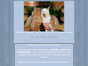 Association Chiens, chats et Compagnie