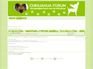 Welkom op het gezelligste chihuahua forum!
