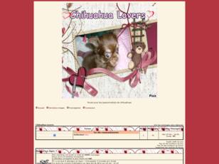 créer un forum : Chihuahua Lovers
