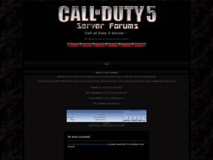 Call of Duty 5 Server