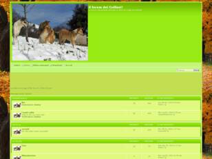 Forum gratis : il forum dei Collies!!