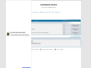 Combattants Gaulois