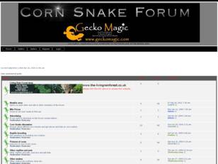 corn snake forum