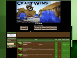 CraftWins