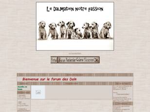 les dalmatiens notre passion