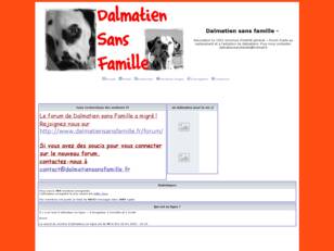 Dalmatien sans famille