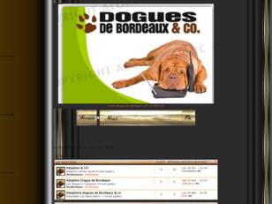 Dogues de Bordeaux & Co