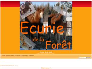 Ecurie de la forêt