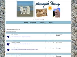 Forumactif.com : Samoyède Family