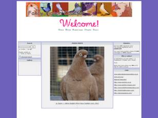 Free forum : Fancy Pigeon Chatter