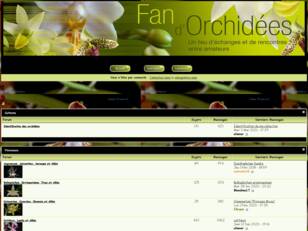 Fan d'Orchidees