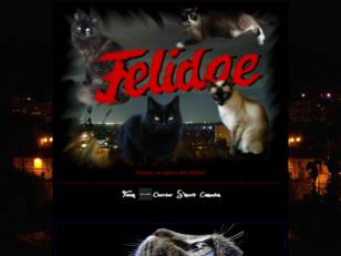Felidae, le mythe des félidés