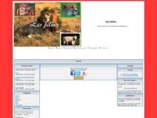 creer un forum : les felins
