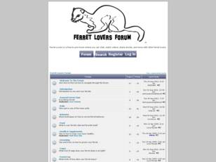 Ferret Lovers Forum