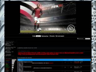 Fifa simulation 2010