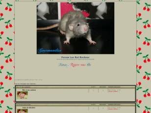 Forum rat Rockeur