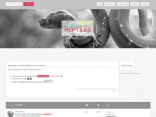 Forum Reptiles | La passion de la Terrariophilie