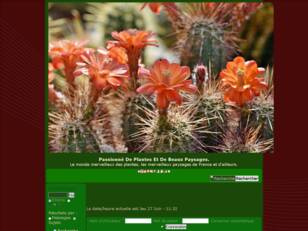 Fou de Cactus et autres Succulentes !