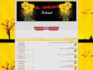 El - Gohary School