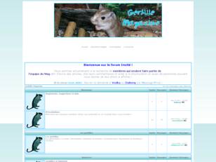 gerbille-magazine