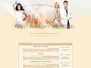 Grey's Anatomy , The Story