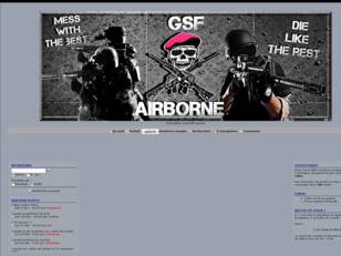 GSF-AIRBORNE