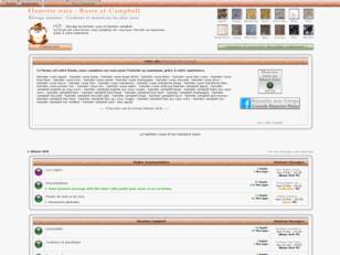 Le Hamster russe : Forum dédié aux Hamsters Russe et Hamsters Campbell