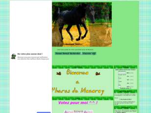 Le Haras du Mezerey