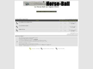Horse Ball Paca