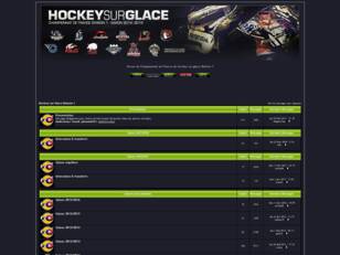 Hockey sur Glace Division 1