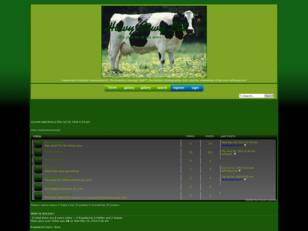 Free forum : Howy Cowy Ltd.